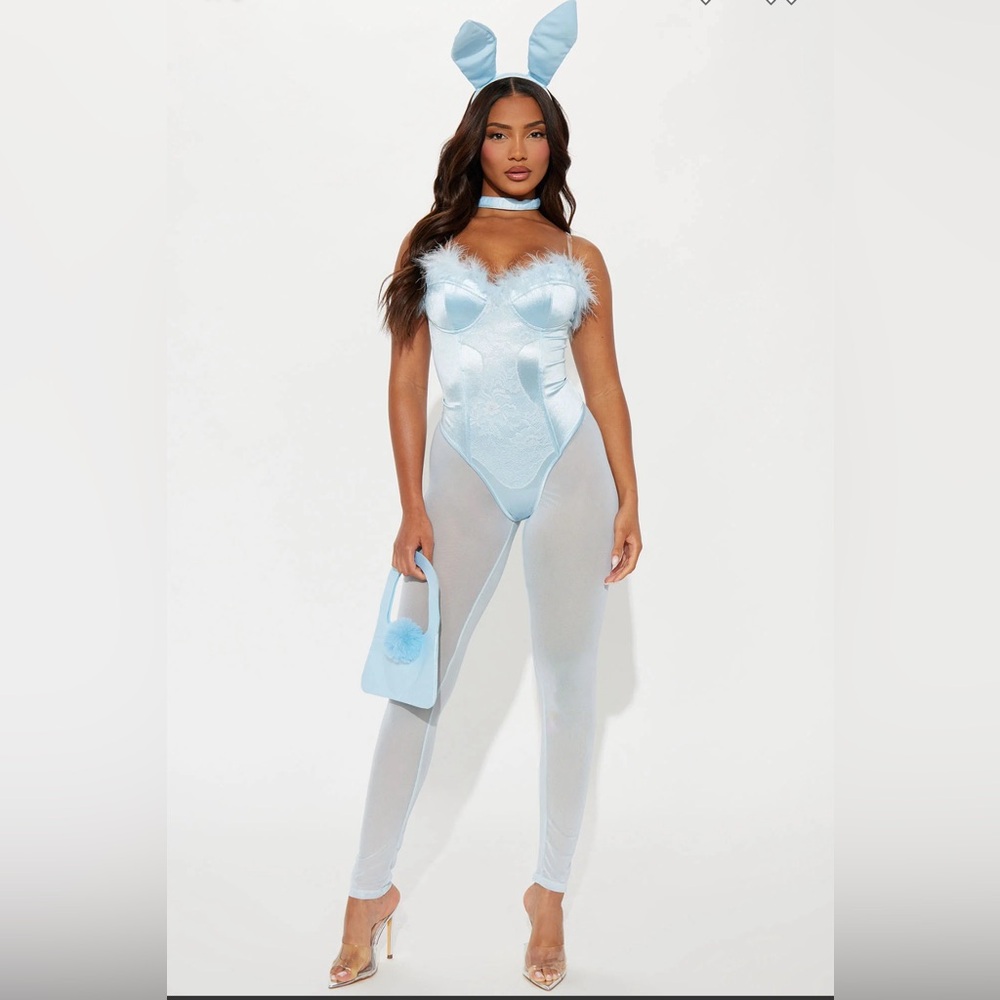 Sexy bunny costume